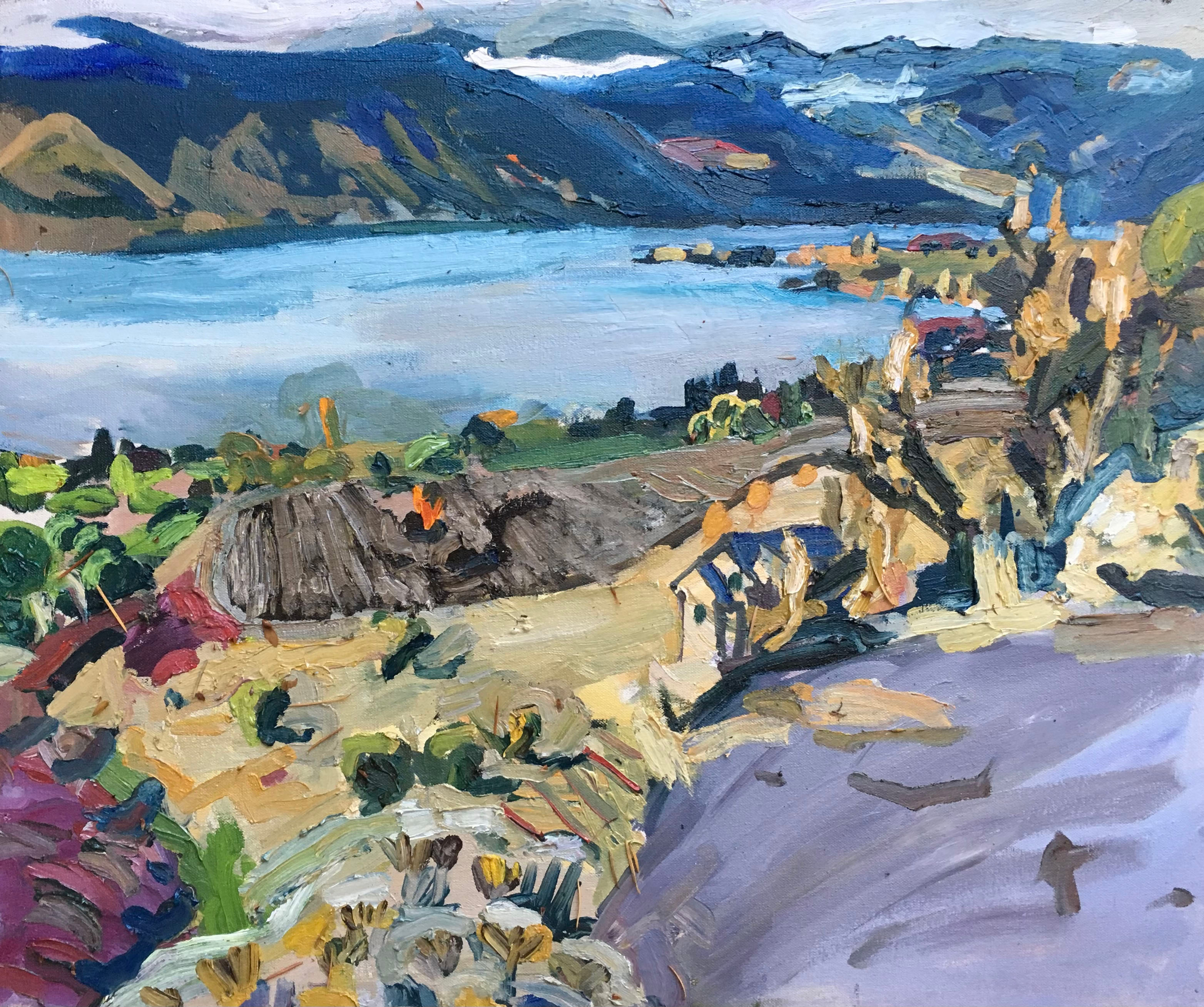 Lake Chelan From Manson Side